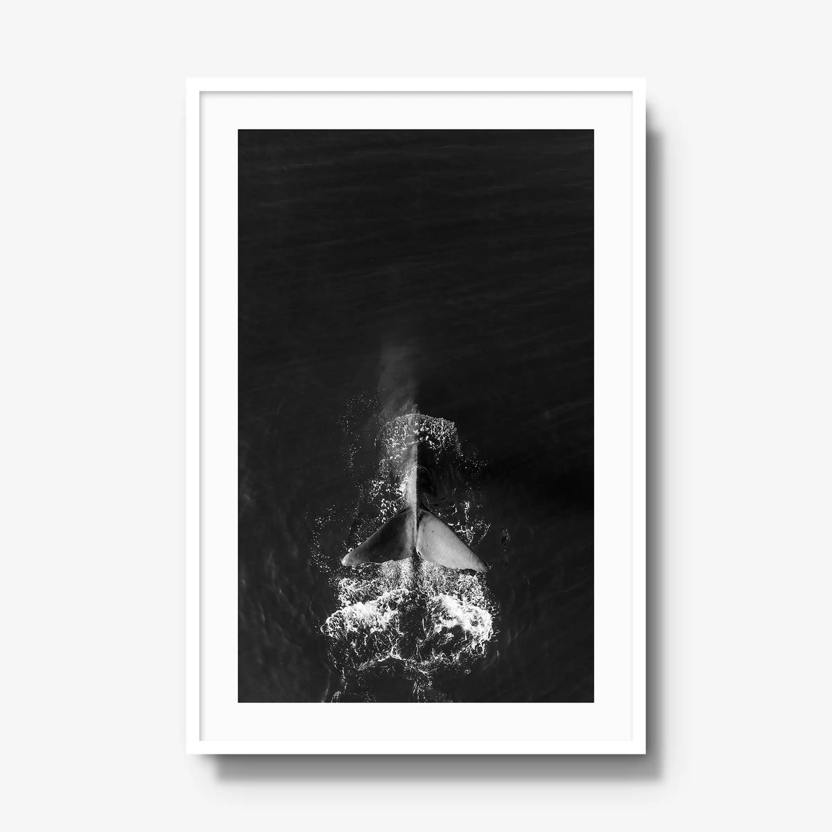 Dive — gallery / white / mat