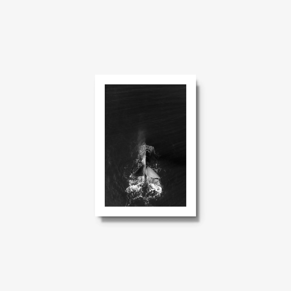 Dive — mini / white / full