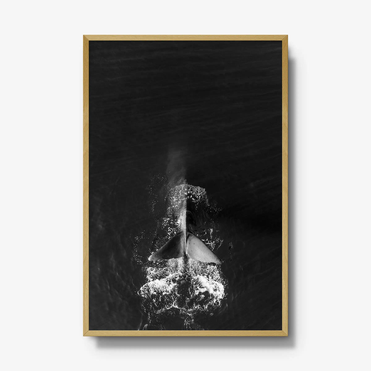 Dive — gallery / natural / full