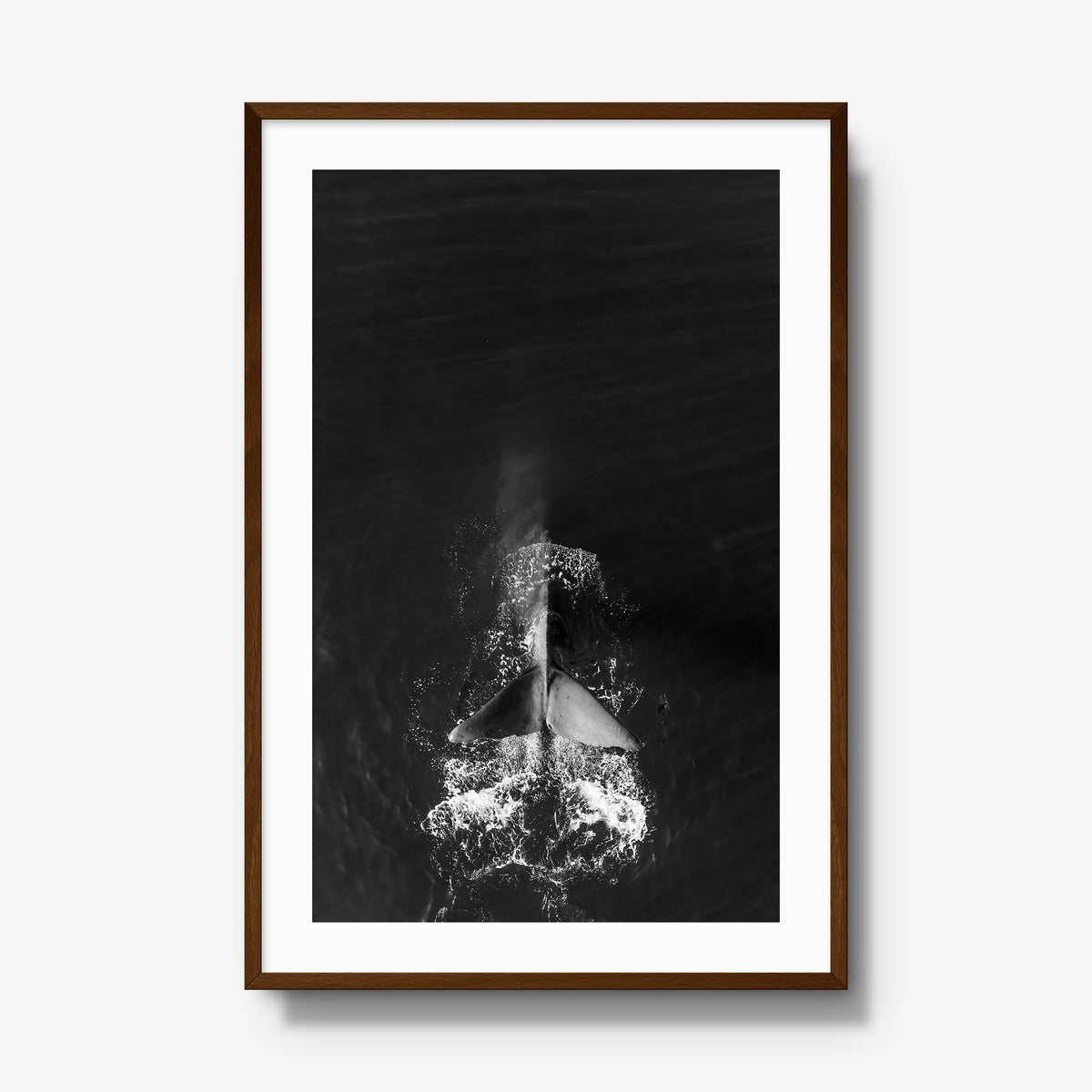 Dive — gallery / brown / mat