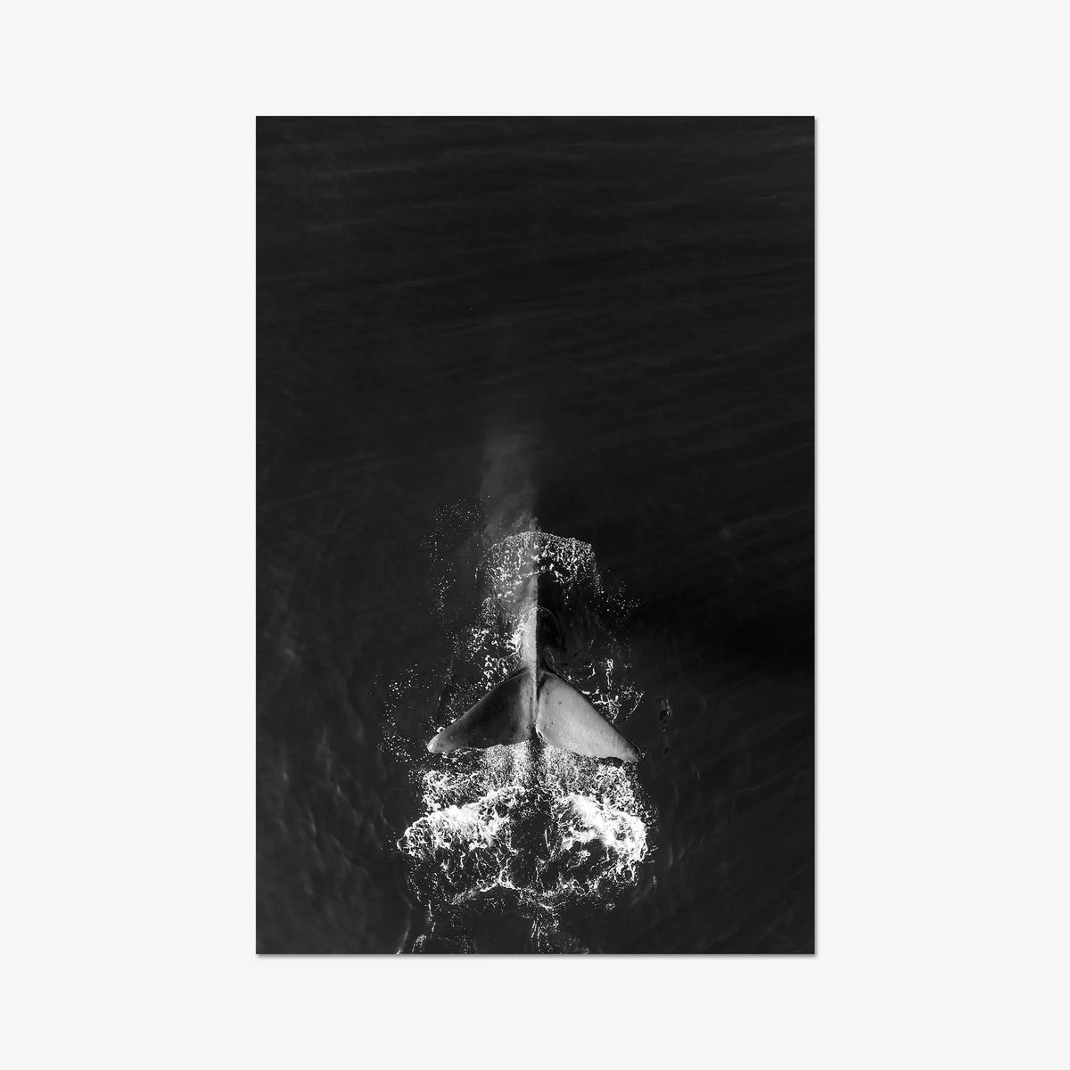 Dive — gallery / print / n/a