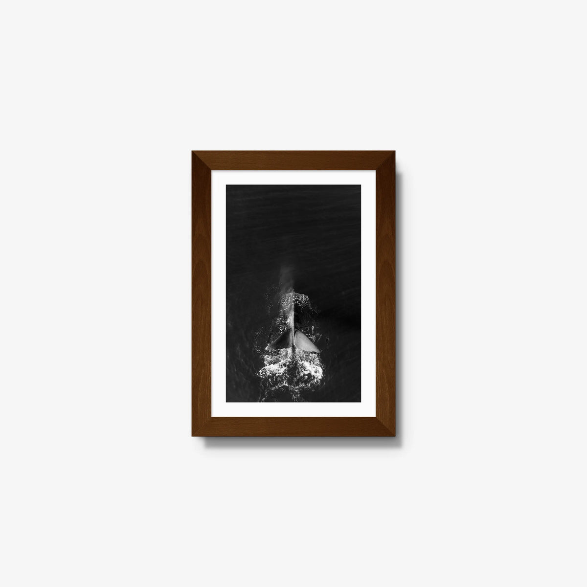 Dive — mini / brown / mat