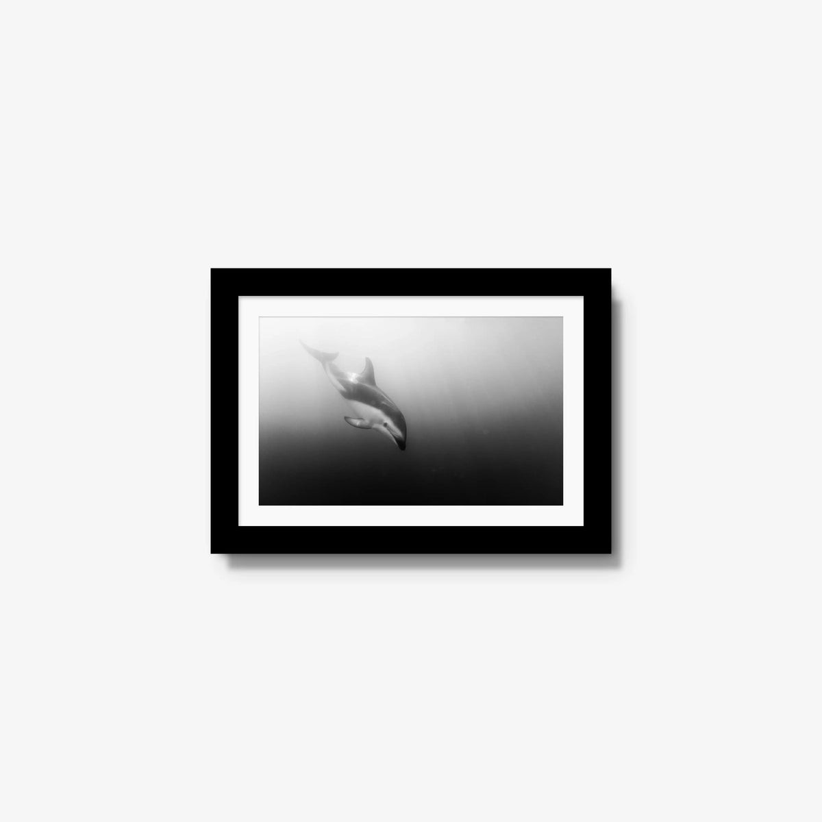 Dusky — mini / black / mat