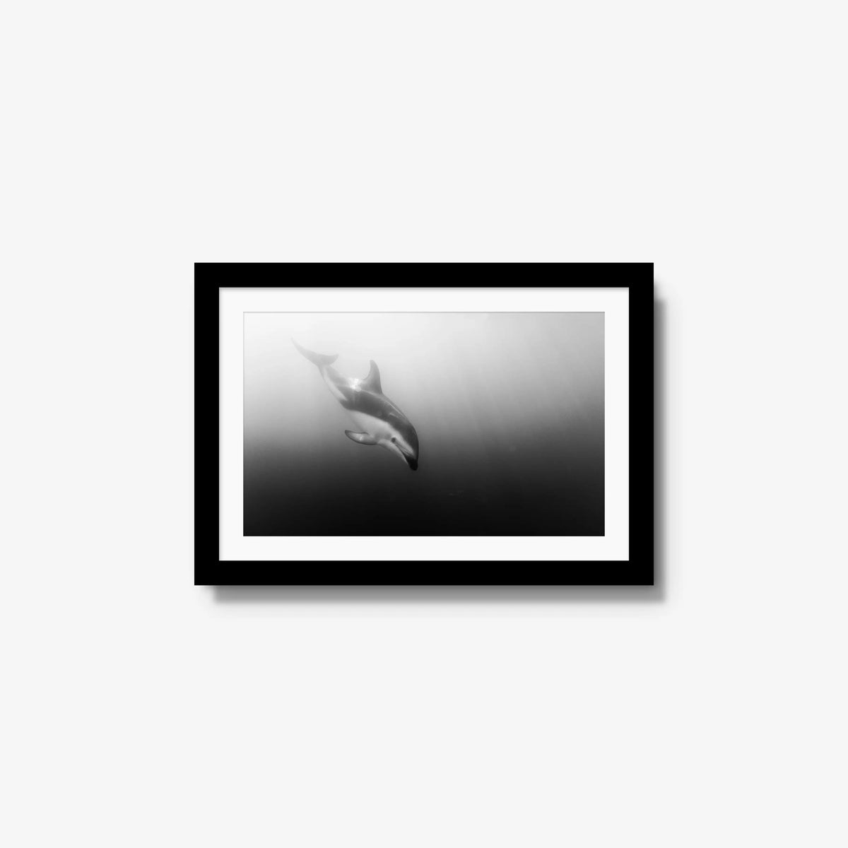 Dusky — small / black / mat