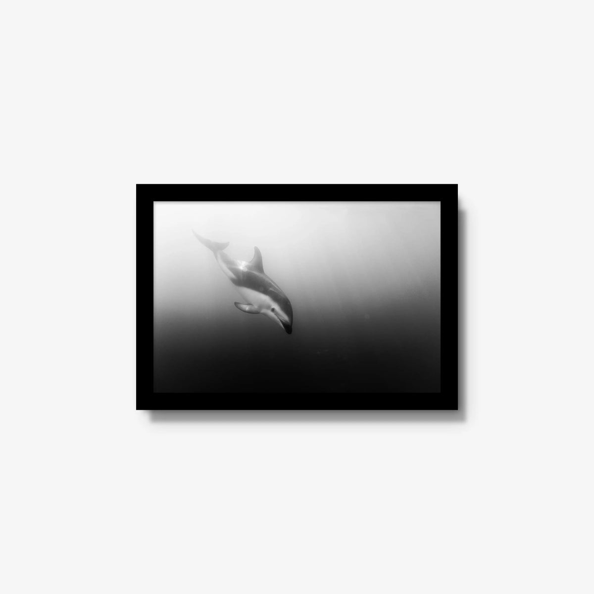 Dusky — small / black / full