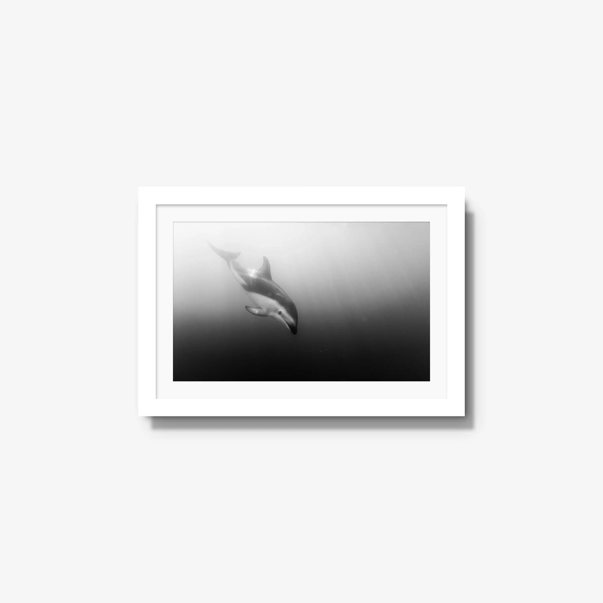 Dusky — small / white / mat