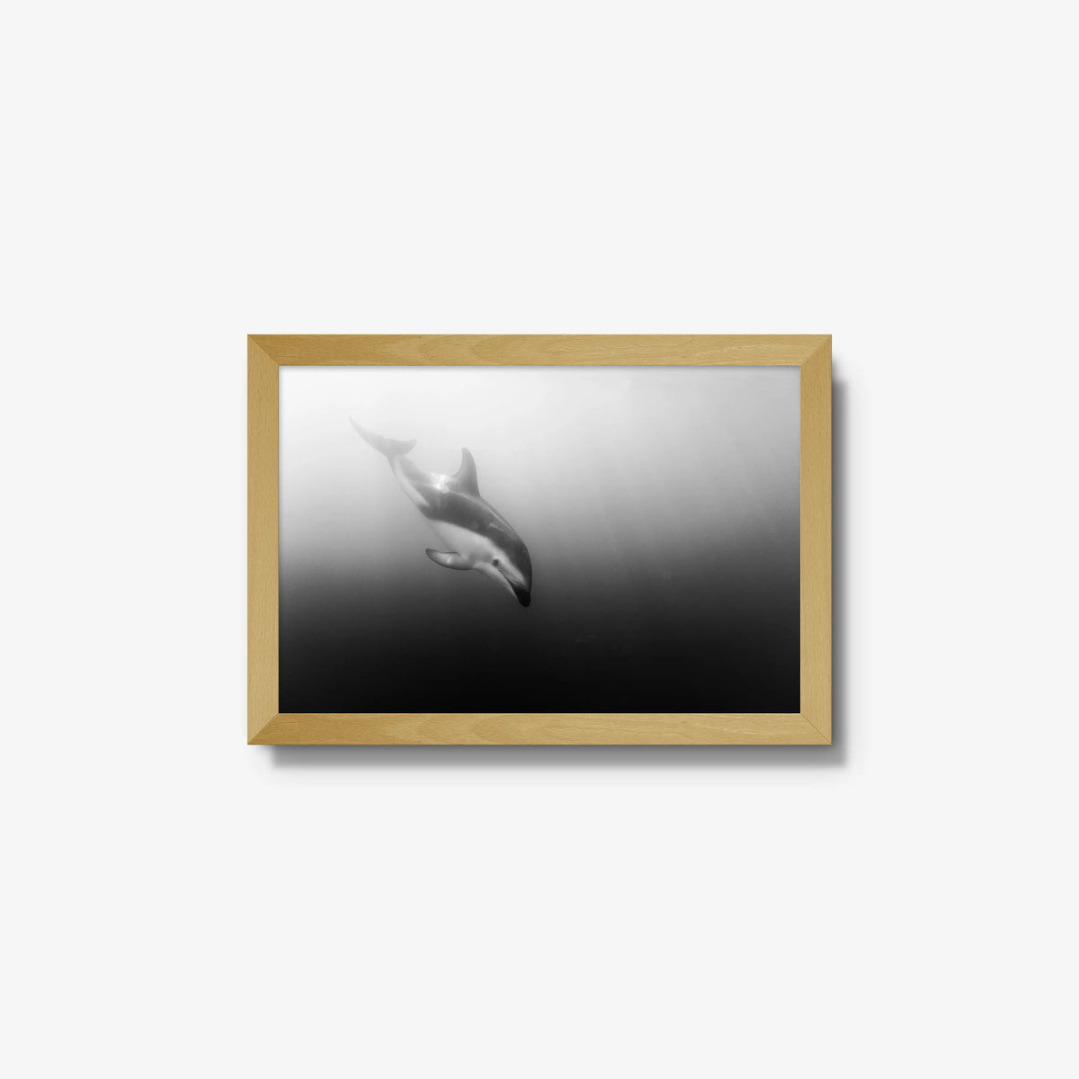 Dusky — small / natural / full