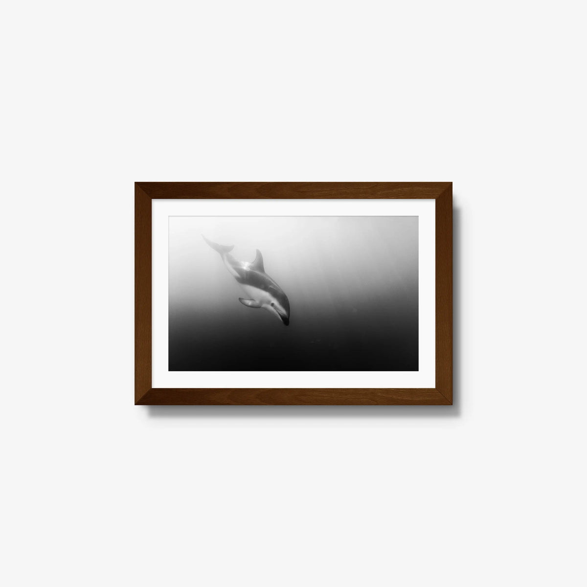 Dusky — small / brown / mat