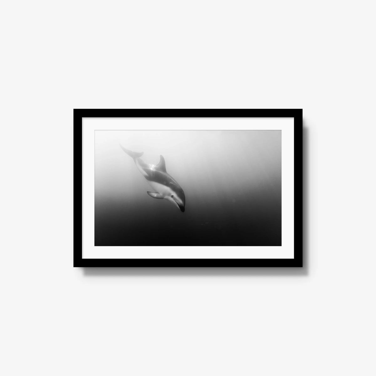 Dusky — medium / black / mat