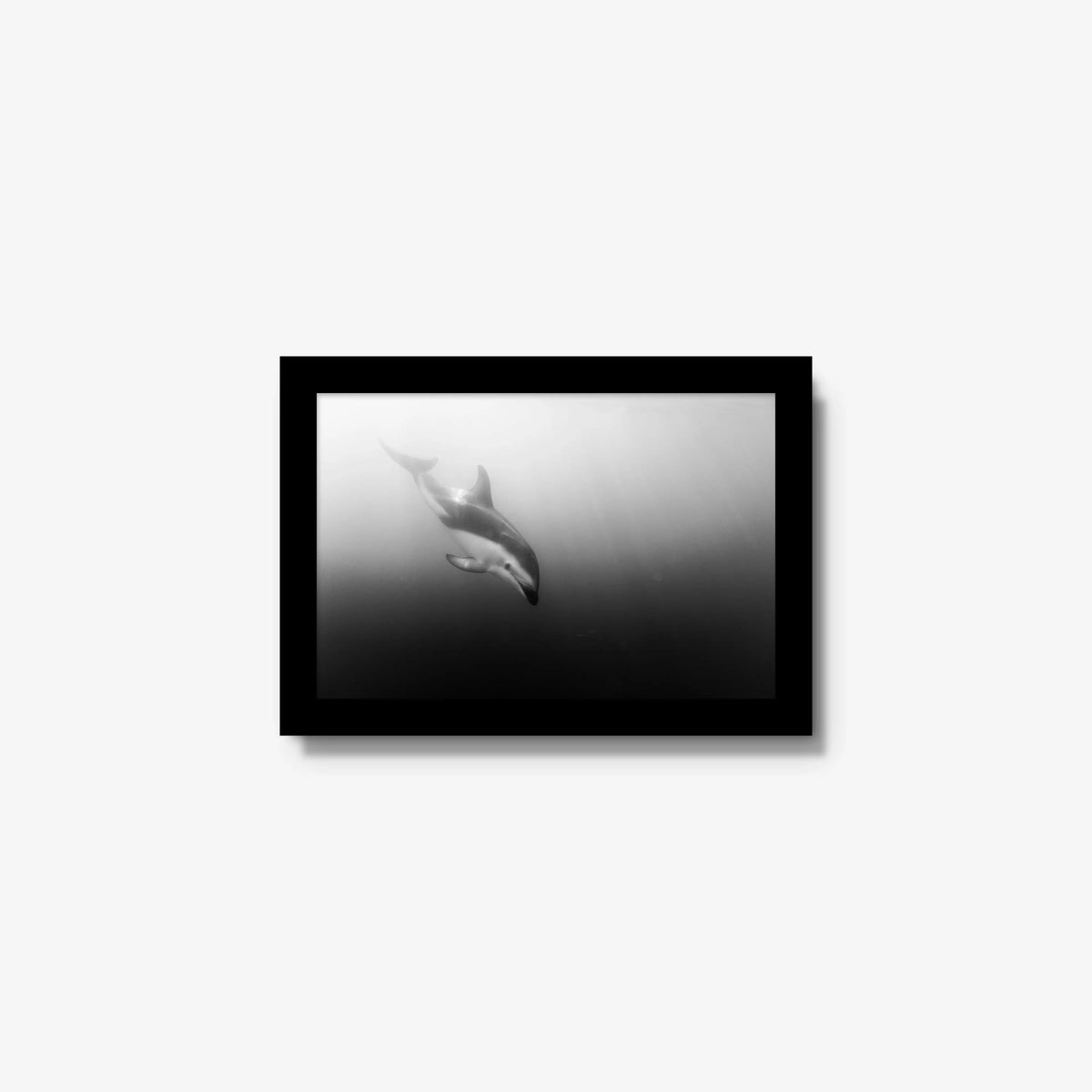 Dusky — mini / black / full