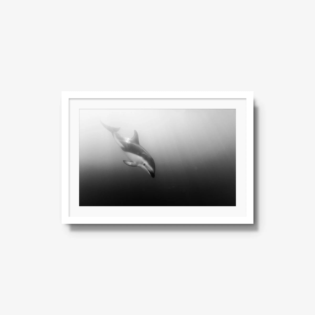 Dusky — medium / white / mat