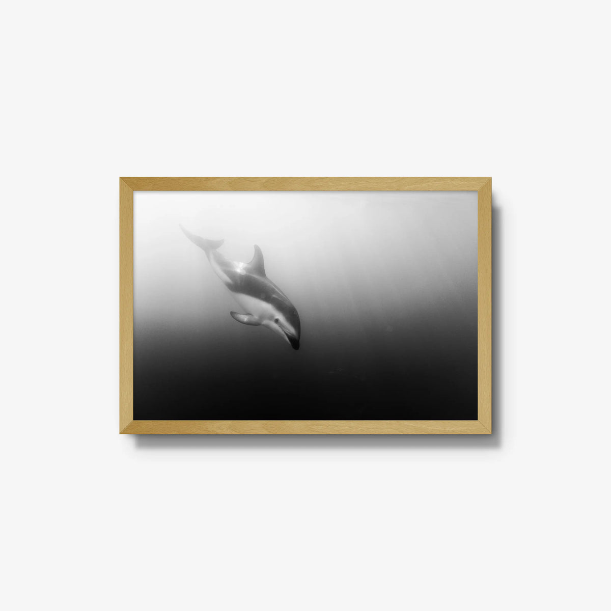 Dusky — medium / natural / full