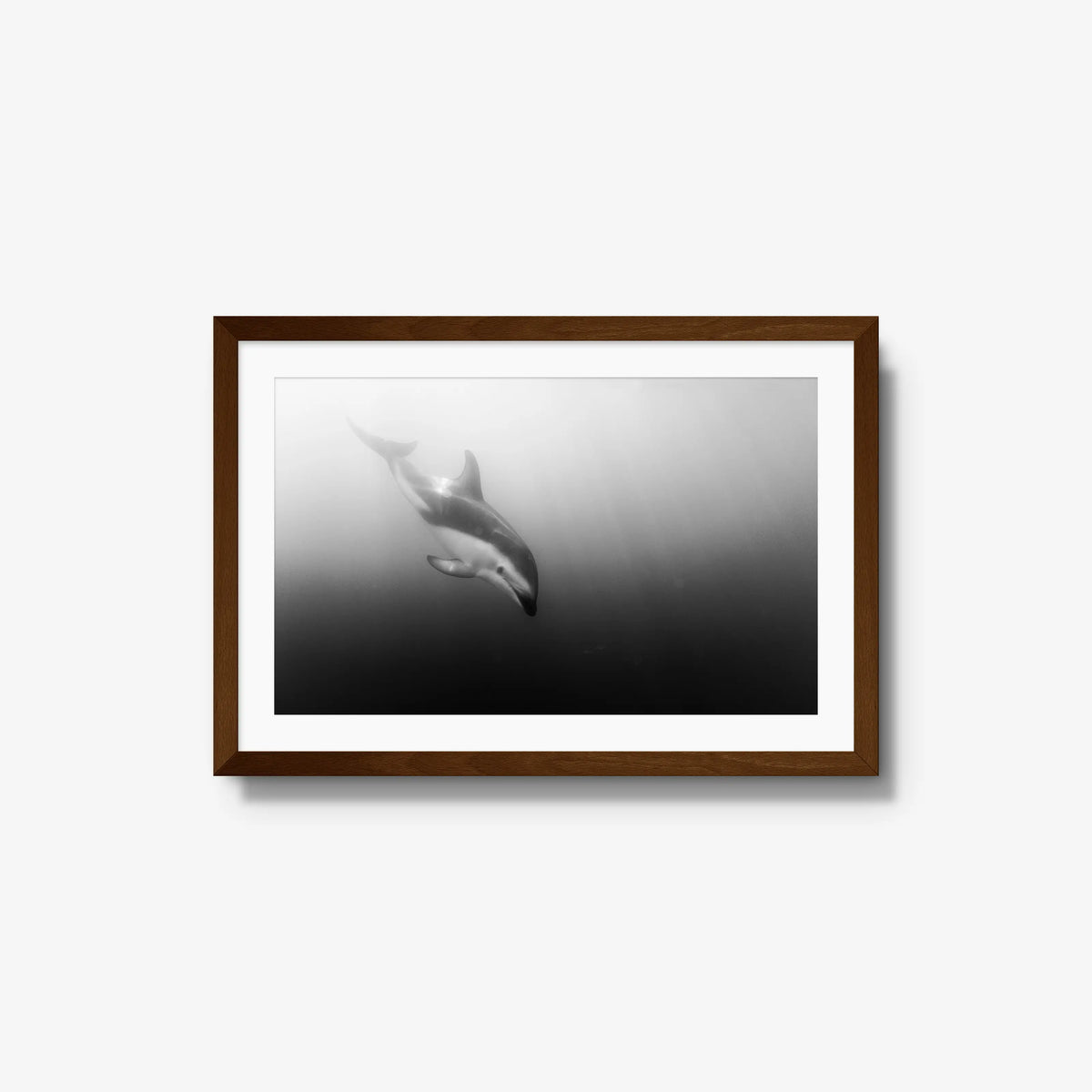 Dusky — medium / brown / mat