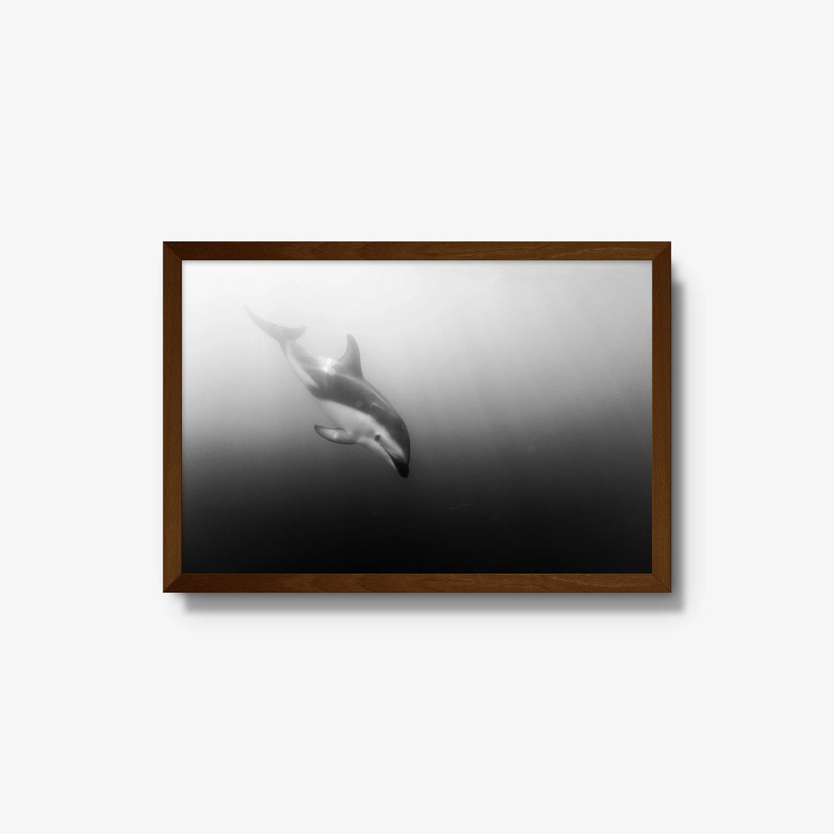 Dusky — medium / brown / full