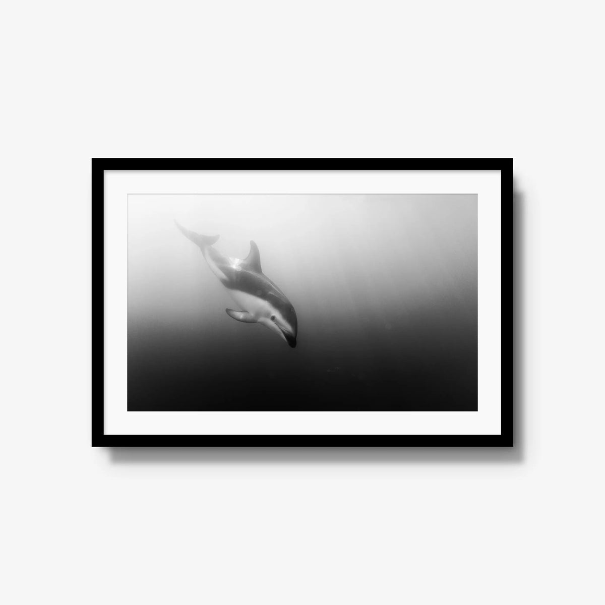 Dusky — large / black / mat