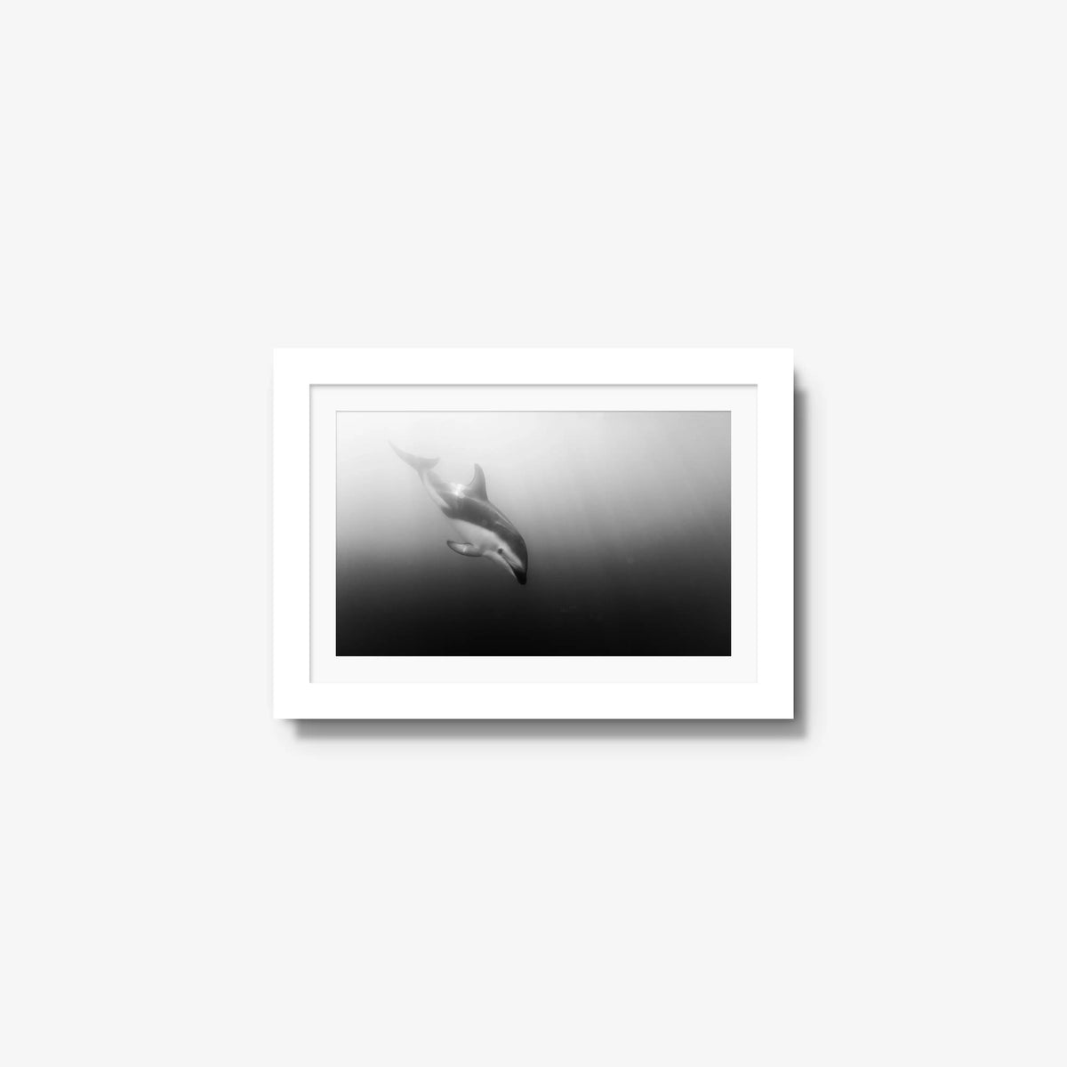 Dusky — mini / white / mat