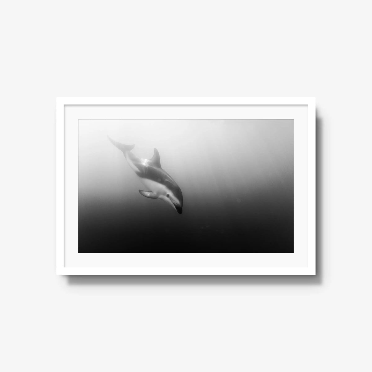 Dusky — large / white / mat