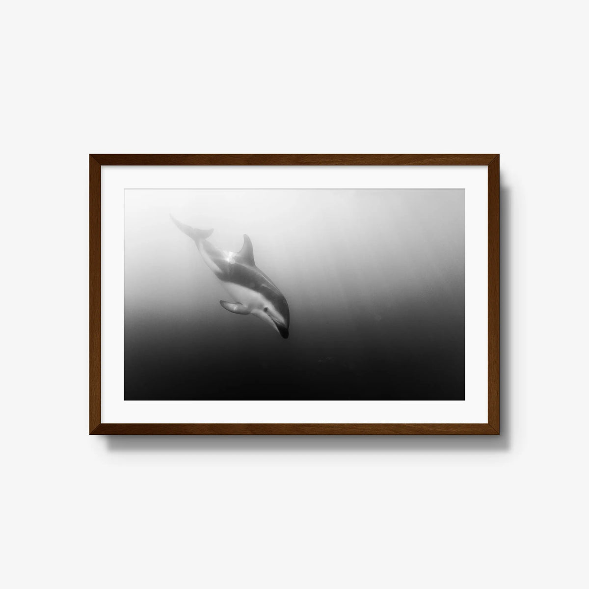 Dusky — large / brown / mat