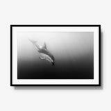 Dusky — gallery / black / mat