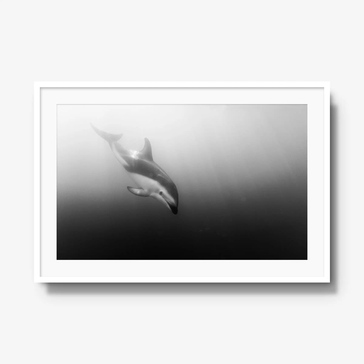 Dusky — gallery / white / mat