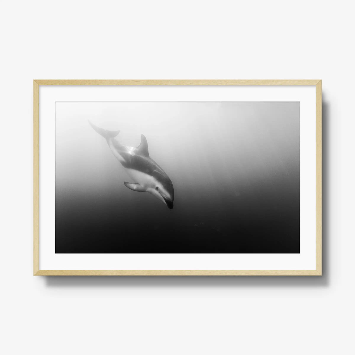 Dusky — gallery / natural / mat