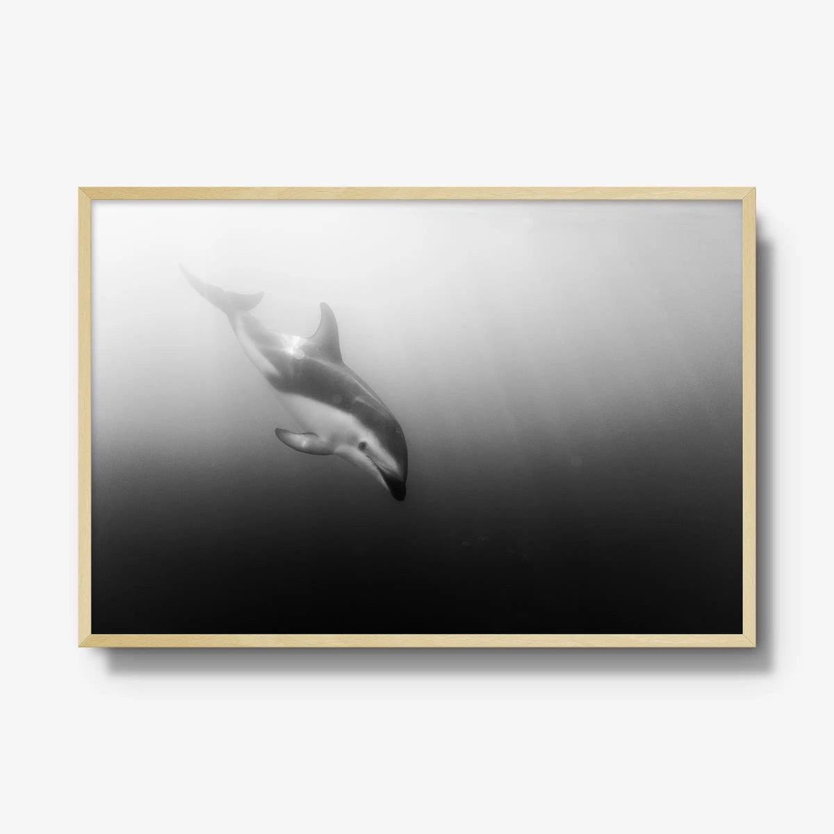 Dusky — gallery / natural / full