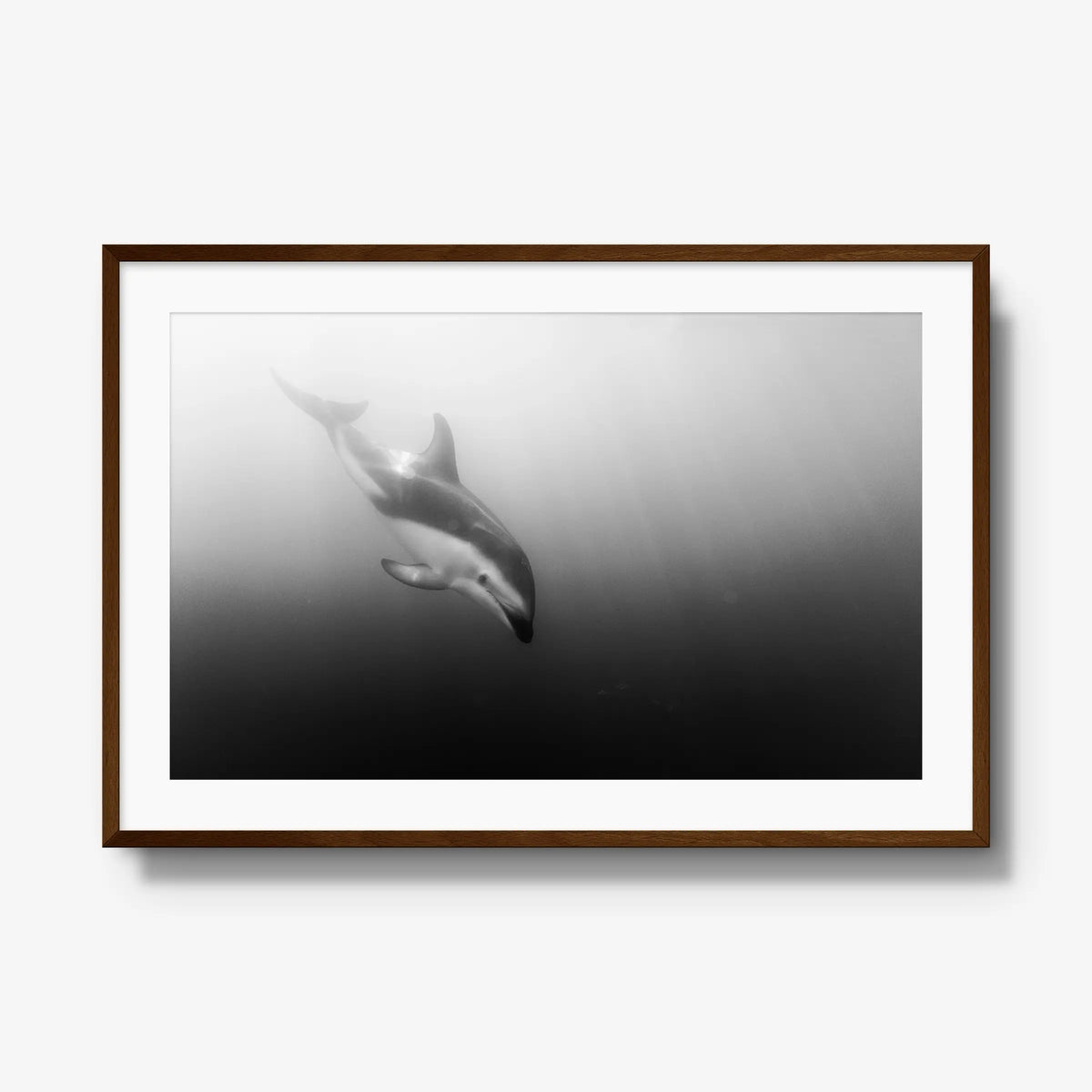 Dusky — gallery / brown / mat