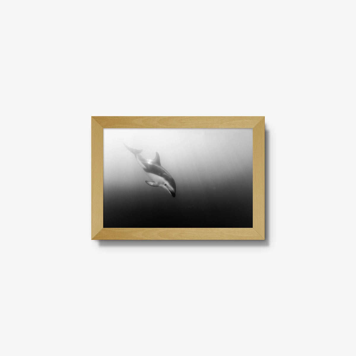 Dusky — mini / natural / full