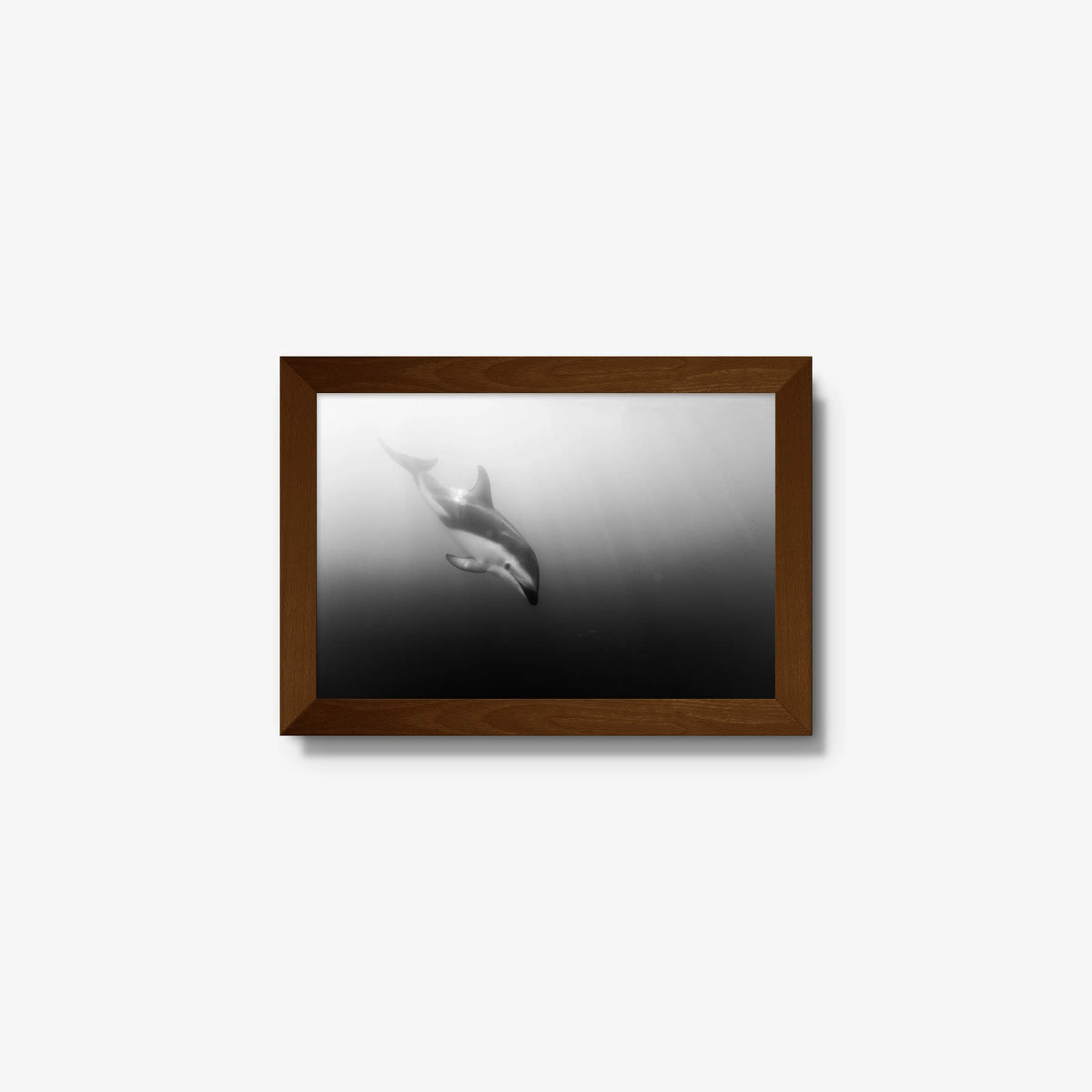 Dusky — mini / brown / full