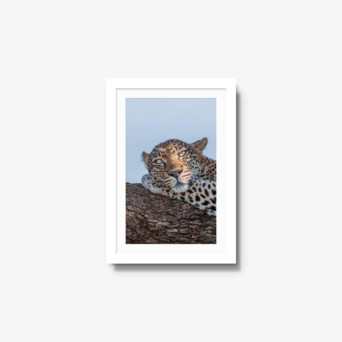 Dzindza — small / white / mat