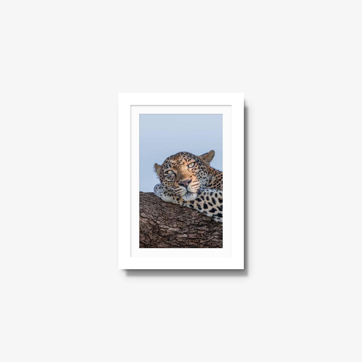 Dzindza — mini / white / mat