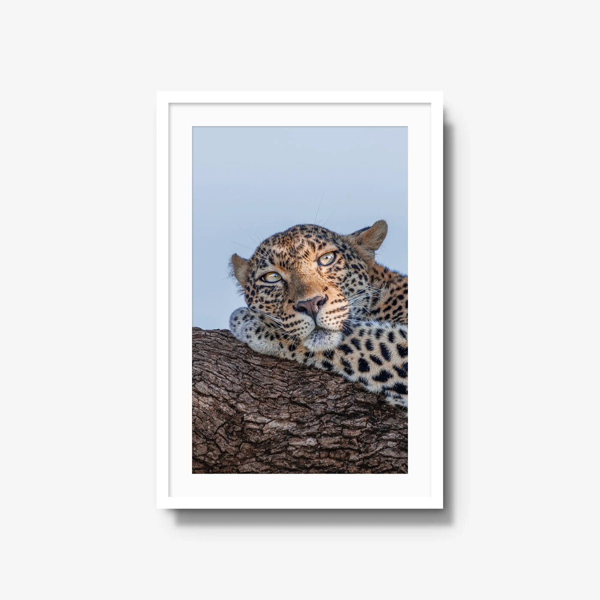 Dzindza — large / white / mat