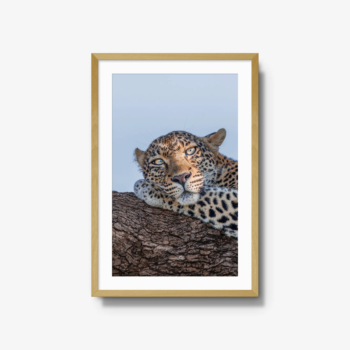 Dzindza — large / natural / mat