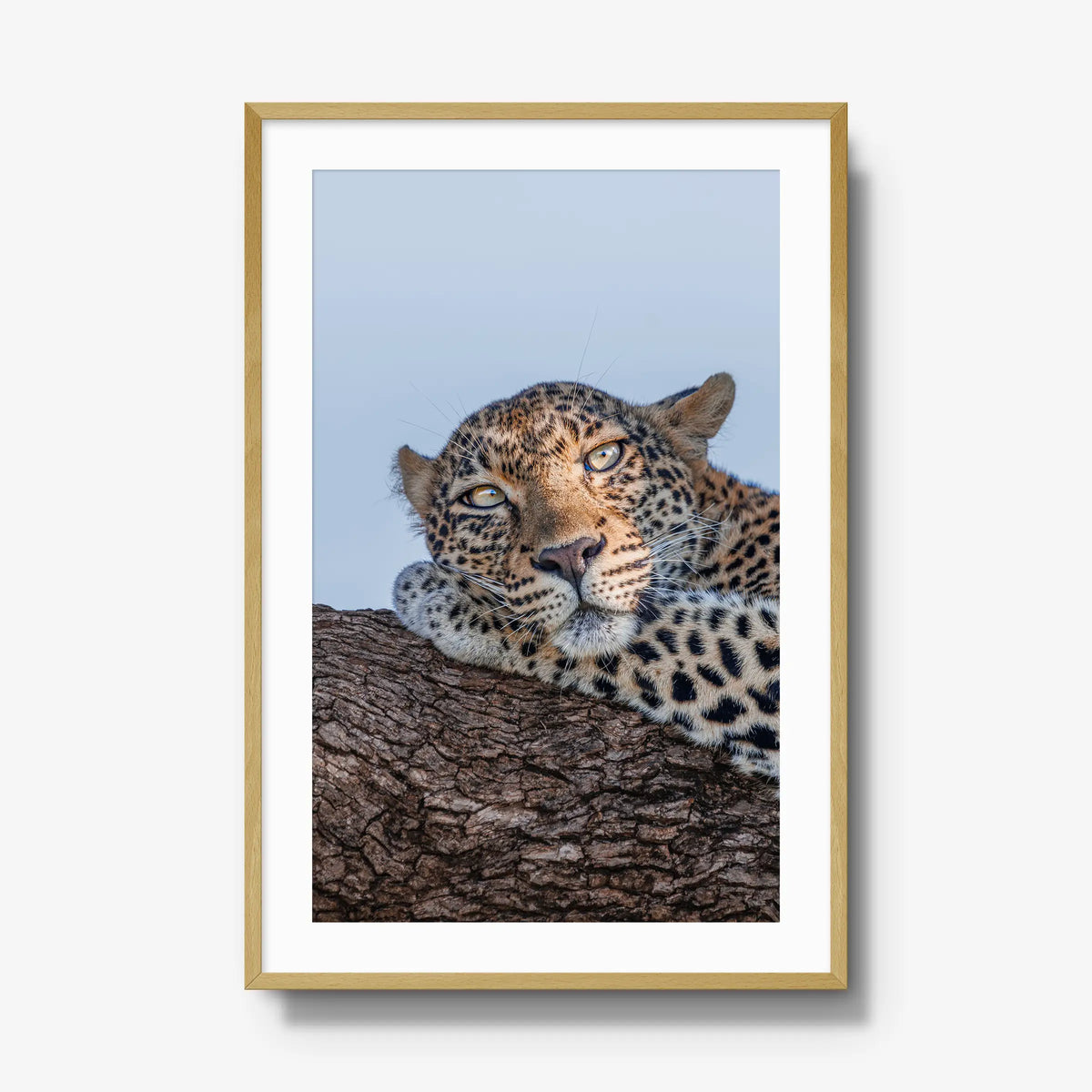 Dzindza — gallery / natural / mat
