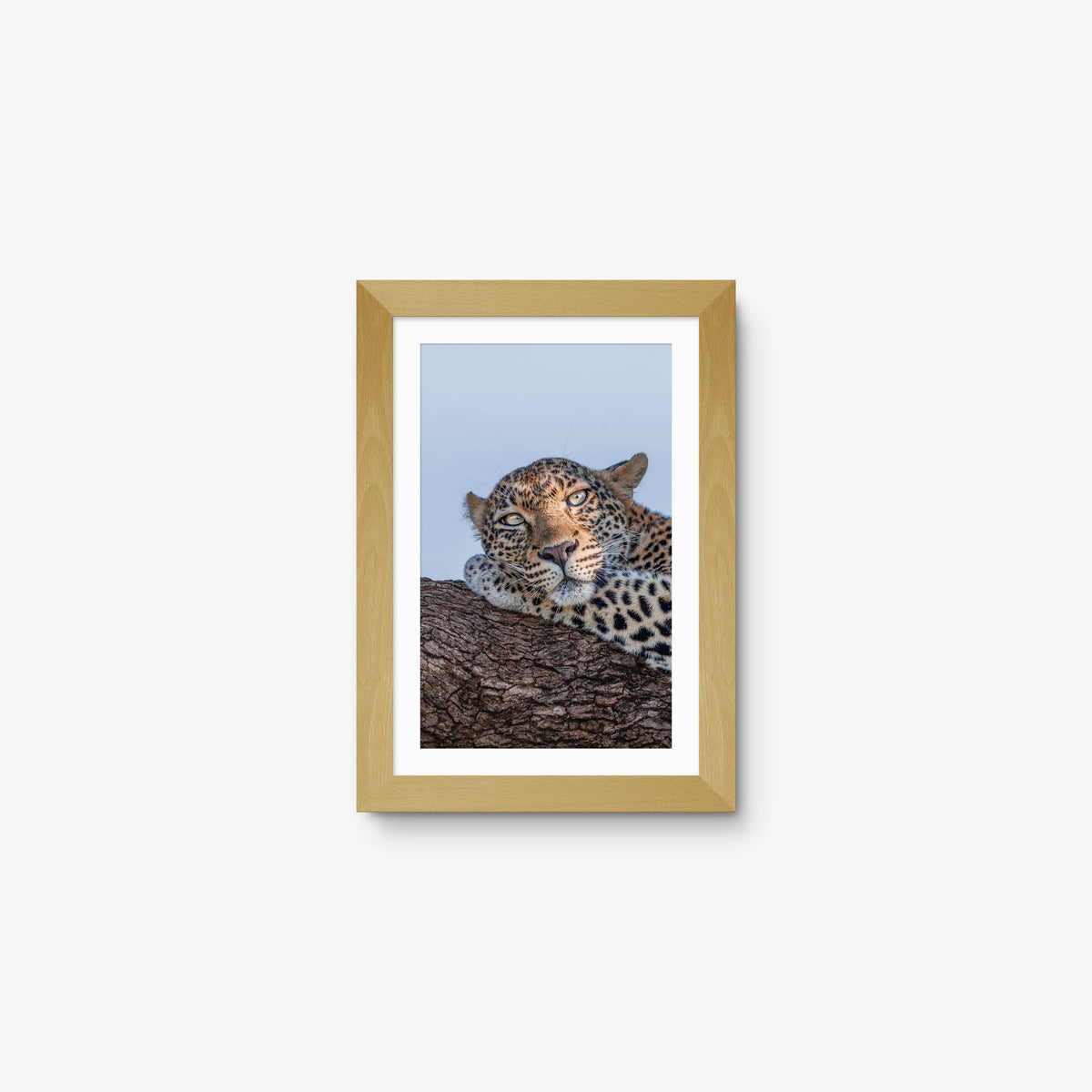 Dzindza — mini / natural / mat