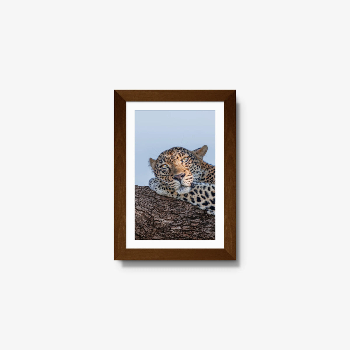 Dzindza — mini / brown / mat