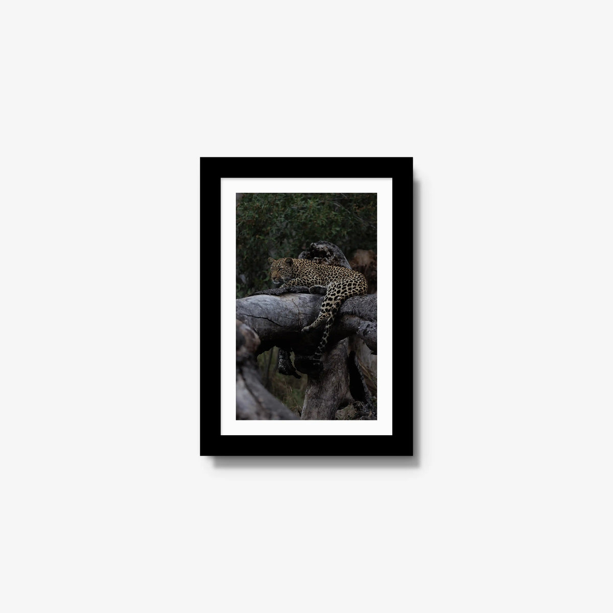 Elsewhere — mini / black / mat