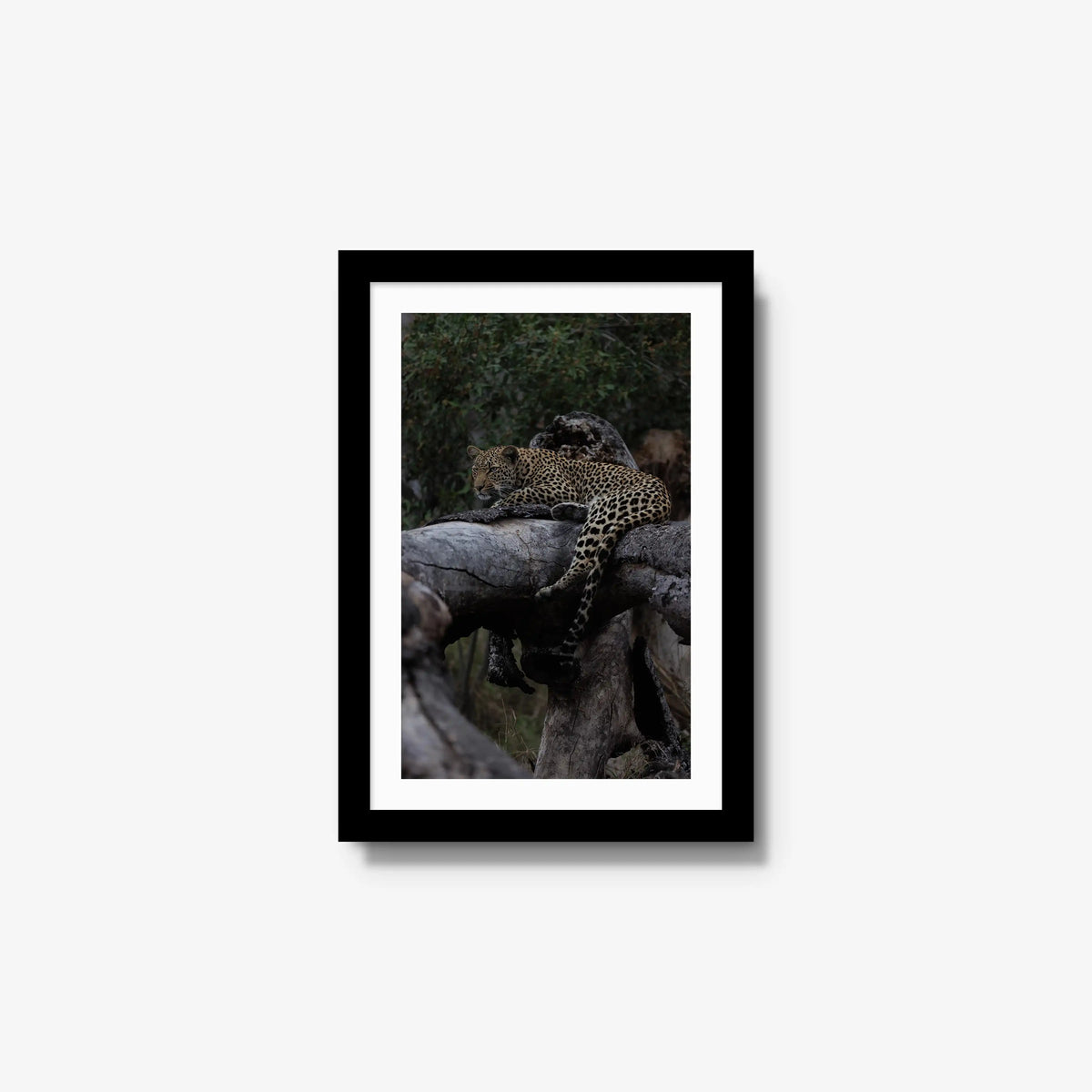 Elsewhere — small / black / mat