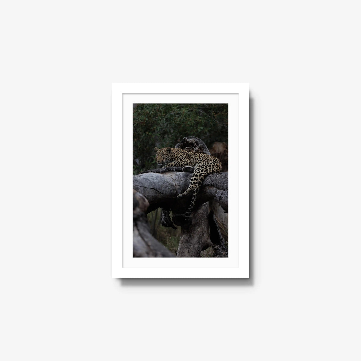 Elsewhere — small / white / mat