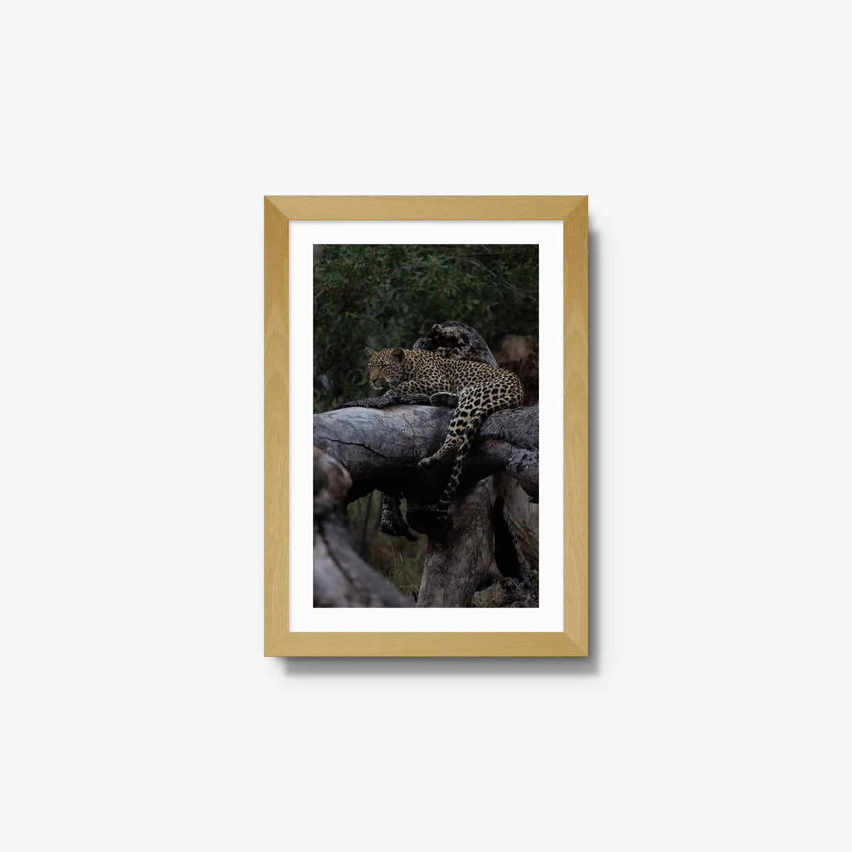 Elsewhere — small / natural / mat