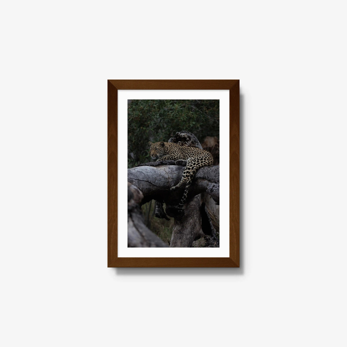 Elsewhere — small / brown / mat