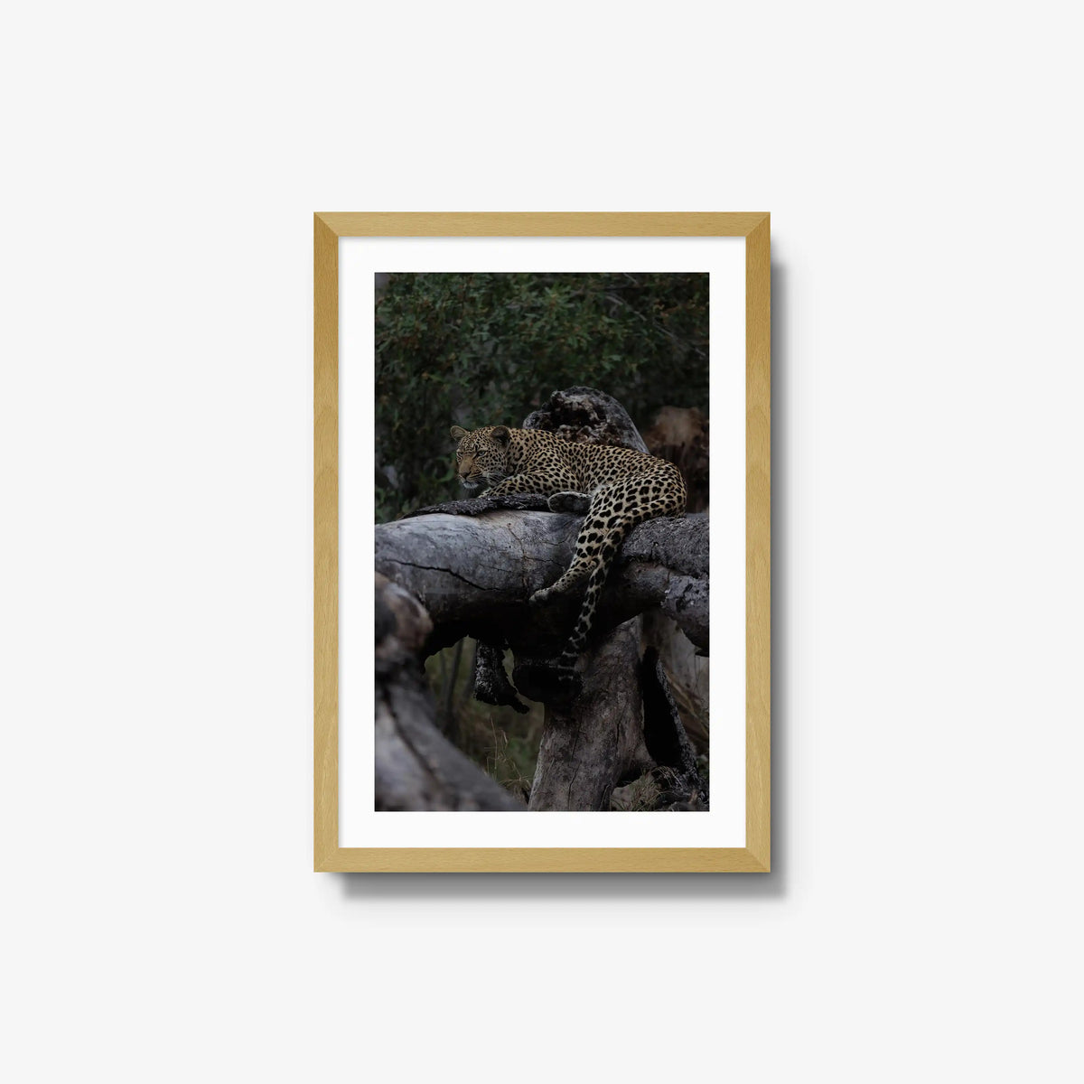 Elsewhere — medium / natural / mat
