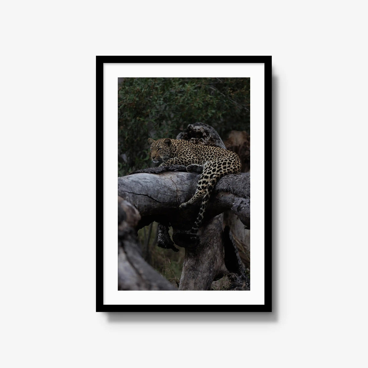 Elsewhere — large / black / mat