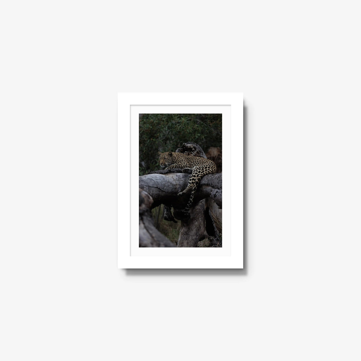 Elsewhere — mini / white / mat