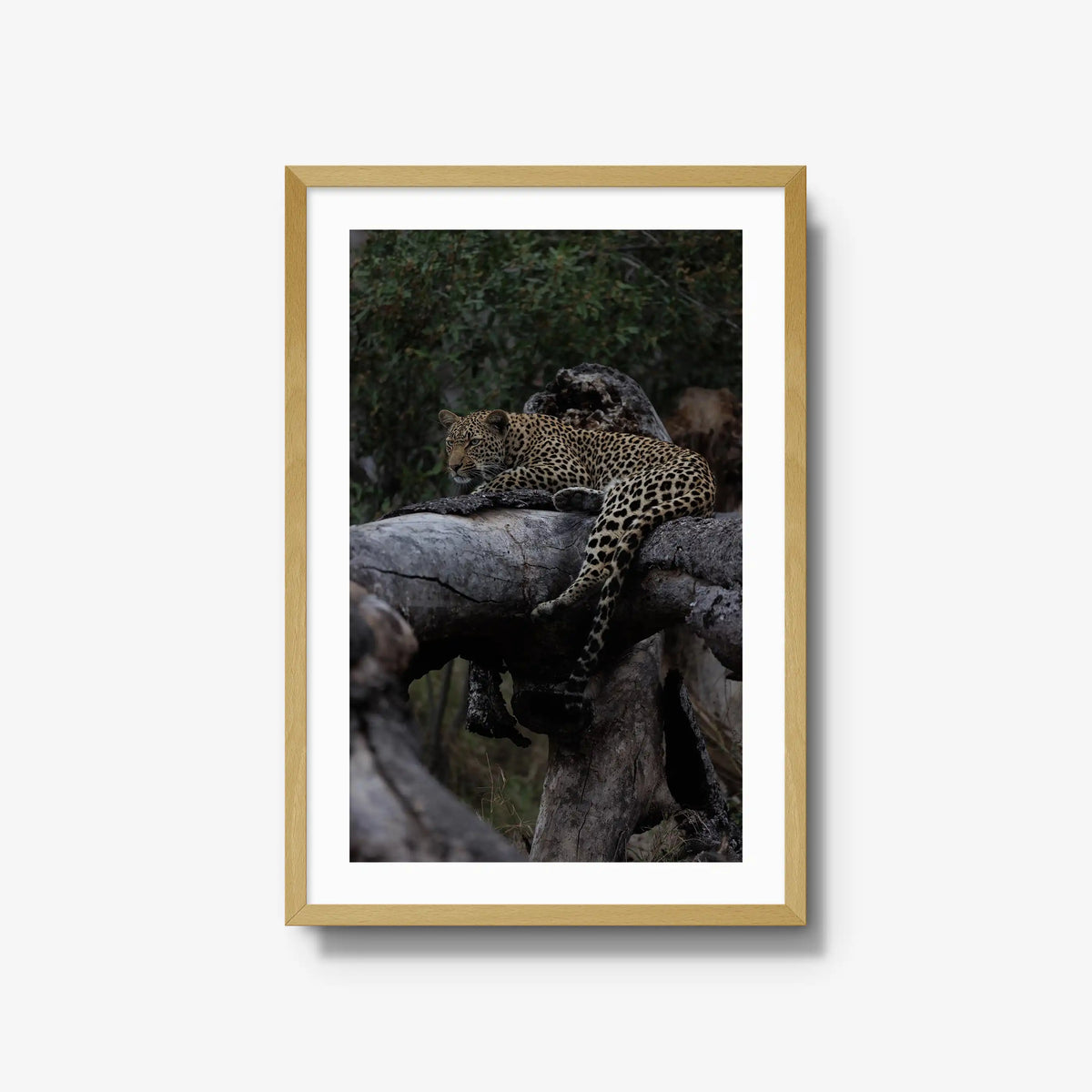 Elsewhere — large / natural / mat
