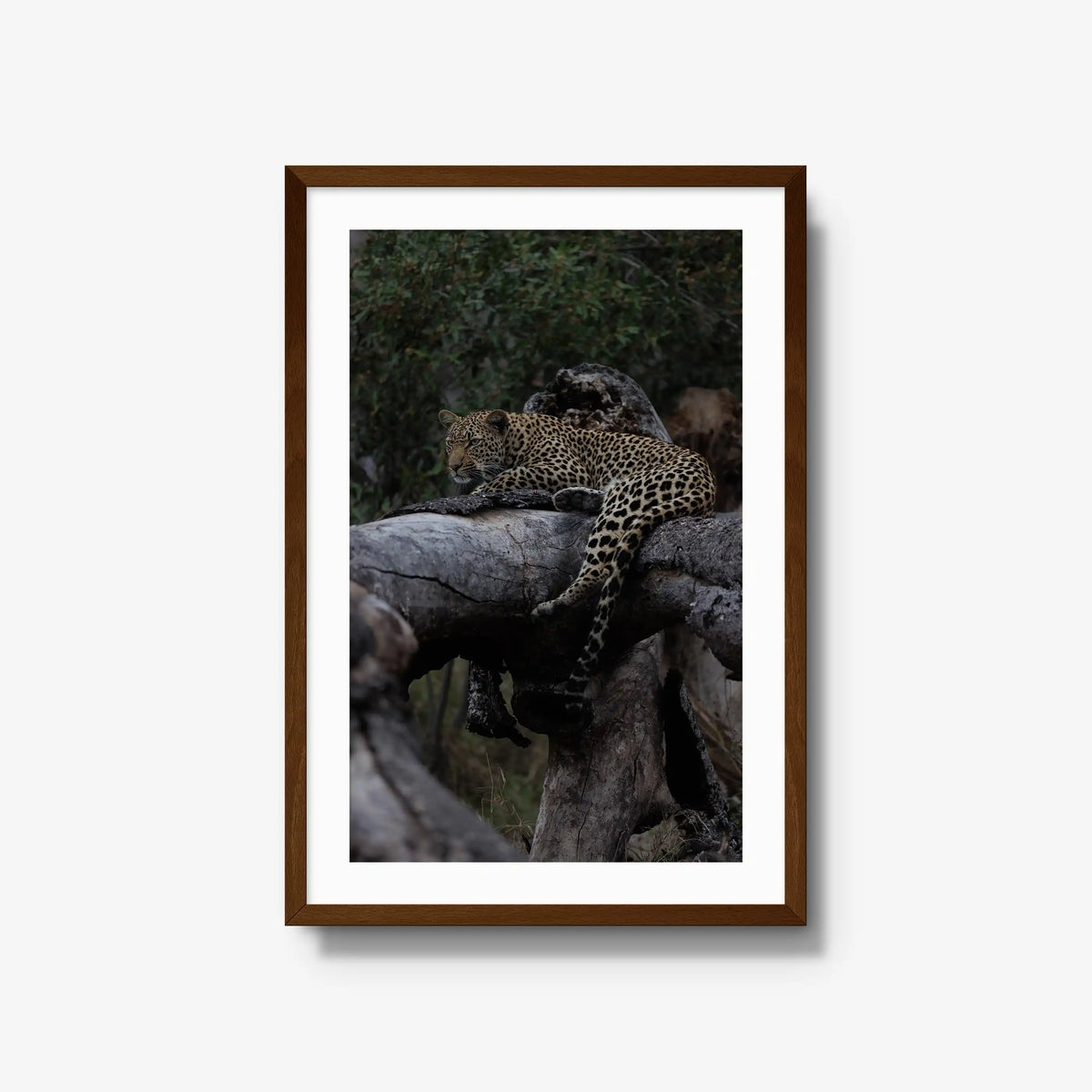 Elsewhere — large / brown / mat