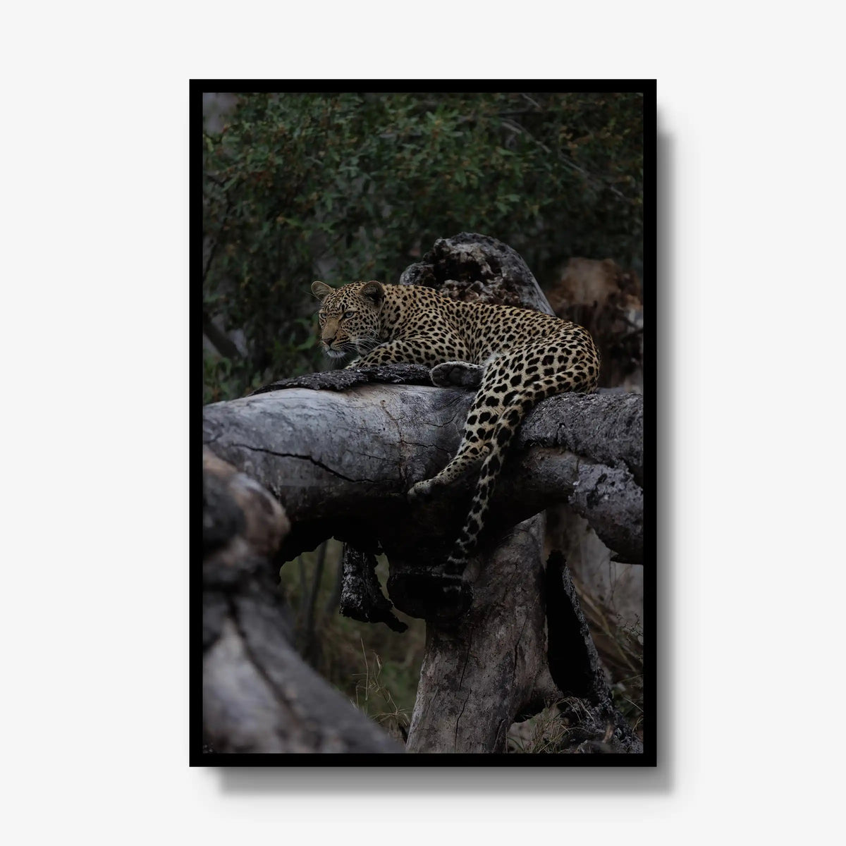 Elsewhere — gallery / black / full