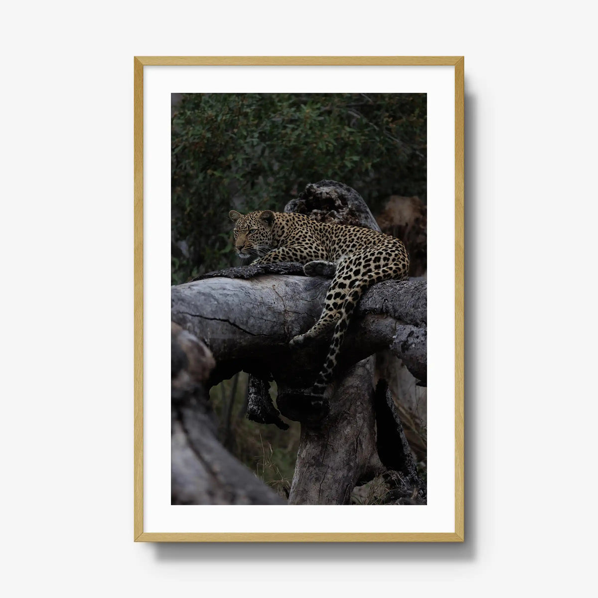 Elsewhere — gallery / natural / mat