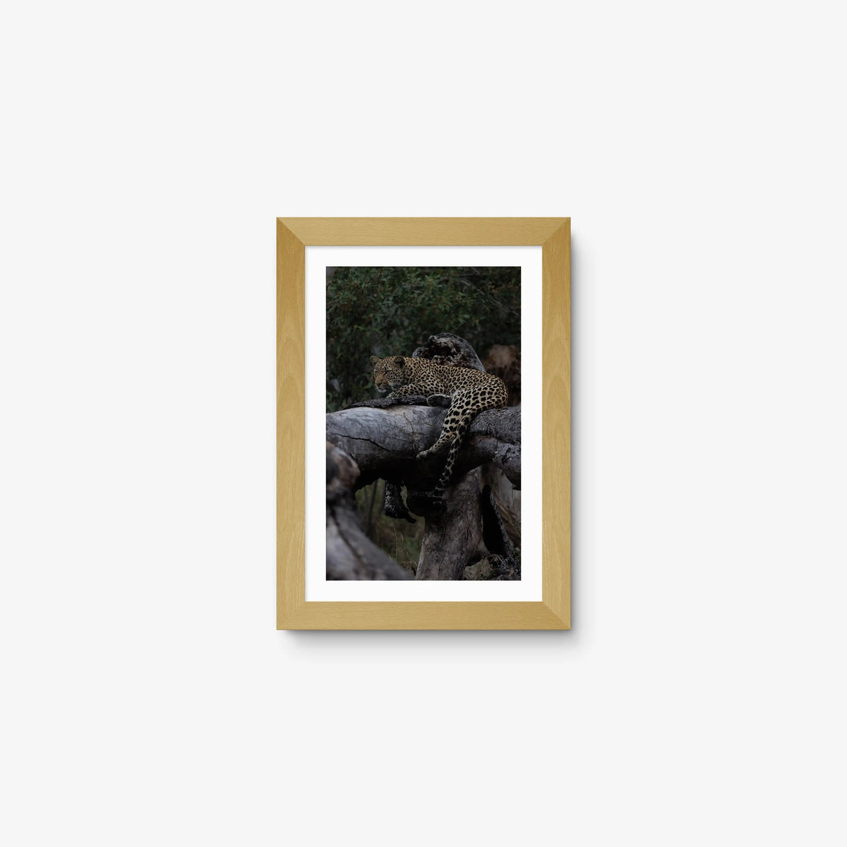 Elsewhere — mini / natural / mat
