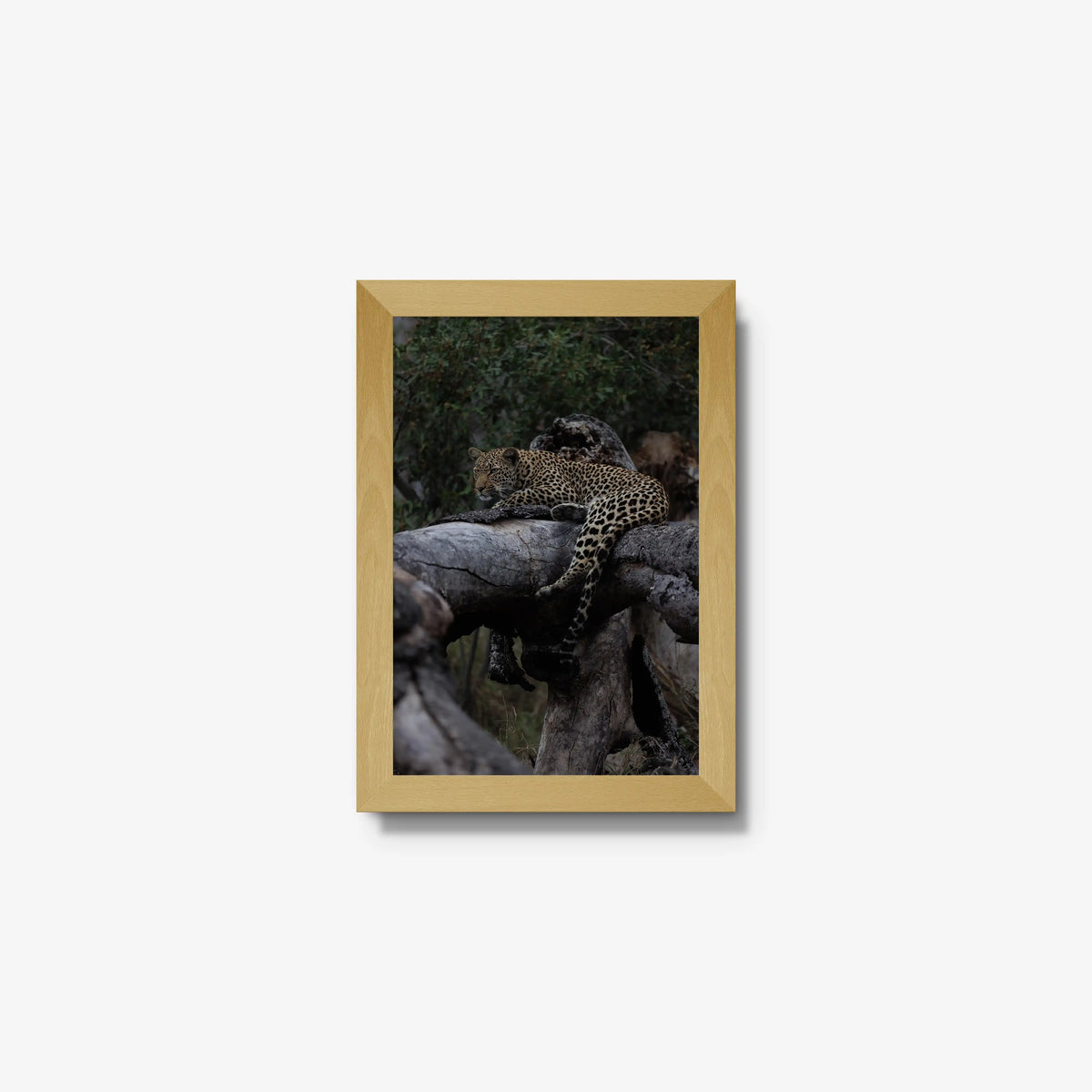 Elsewhere — mini / natural / full